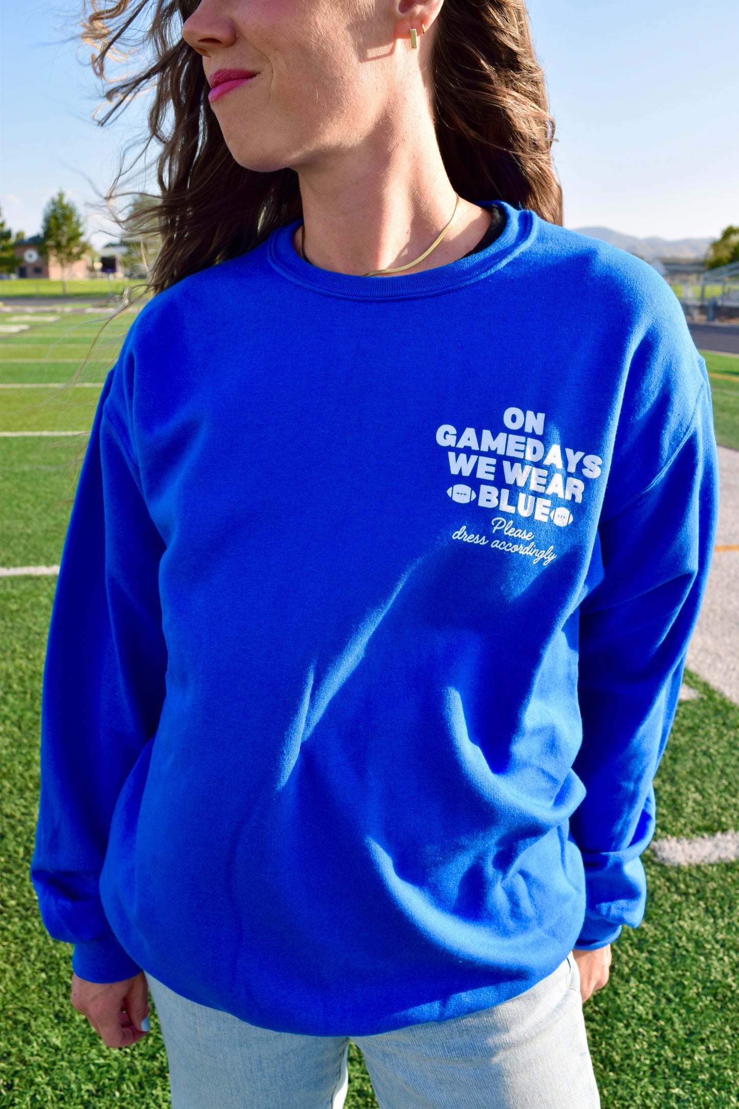 Gameday: Dress Accordingly Sweatshirt